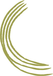 mahabtraders.com